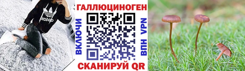 купить наркотики сайты Мариинский Посад Галлюциногенные грибы GOLDEN TEACHER
